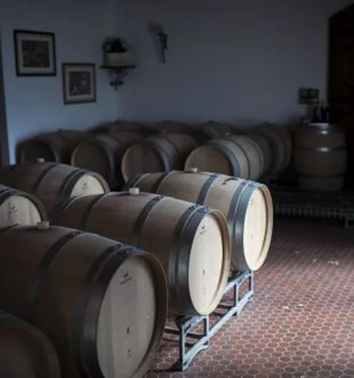 Château Petit Mangot