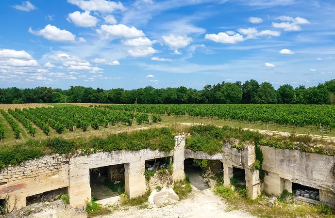 Château de Roques