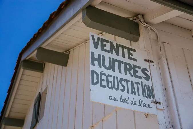 La Vie Sauvage