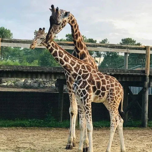 Zoo du Bassin d'Arcachon