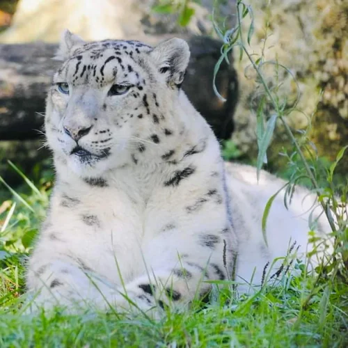 Zoo du Bassin d'Arcachon