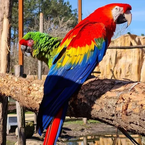 Zoo du Bassin d'Arcachon