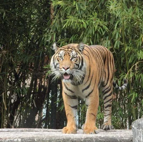 Zoo du Bassin d'Arcachon