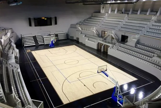 Palais des Sports
