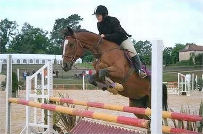 Ferme Equestre de Gueyte