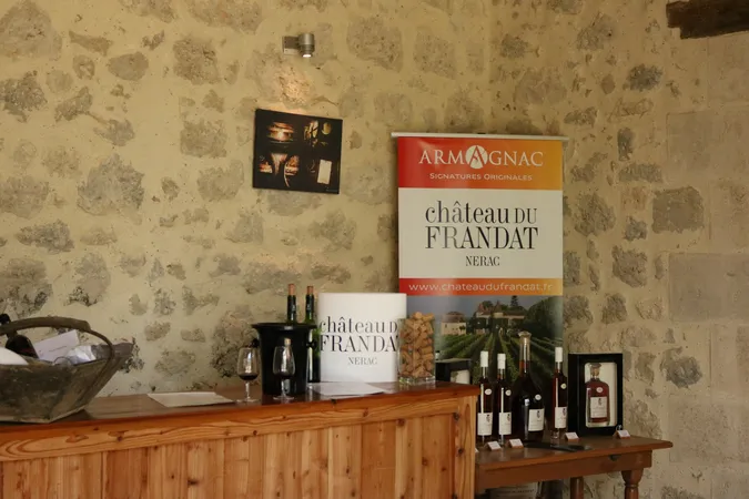Château du Frandat