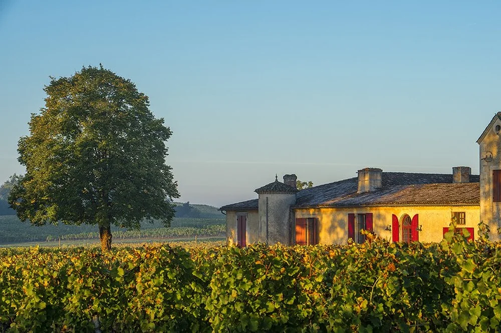 Château Sigalas Rabaud