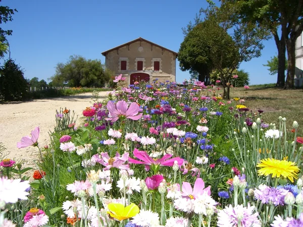 Château Le Temple de Tourteyron
