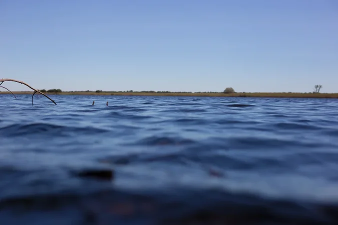 Le sentier de la Réserve Naturelle de l’étang de Cousseau