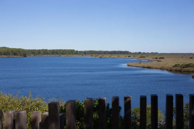 Le sentier de la Réserve Naturelle de l’étang de Cousseau