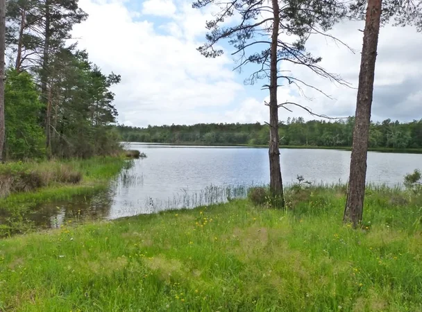 Les Etangs de la Jemaye