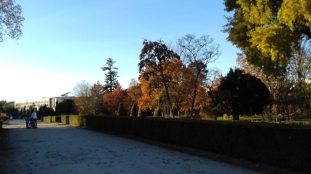 Balade à roulettes : Parc de Peixotto