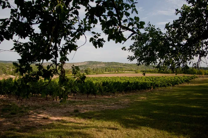 Domaine du Souleillan