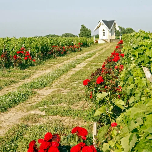 Château Le Clos du Notaire