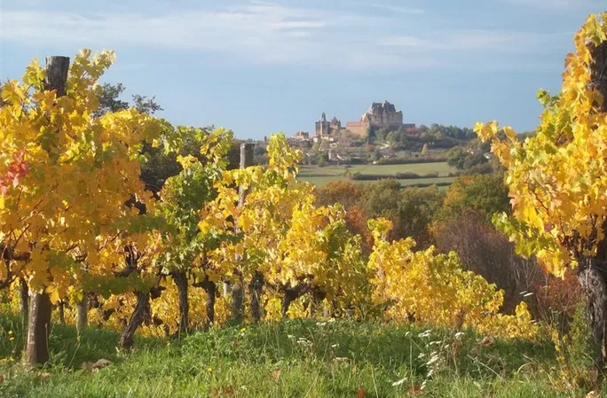 Domaine de la Tuque