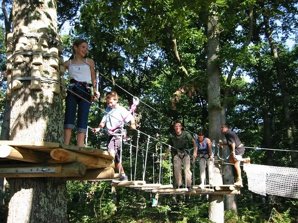 L'Appel de la Forêt - Parcours Aventure