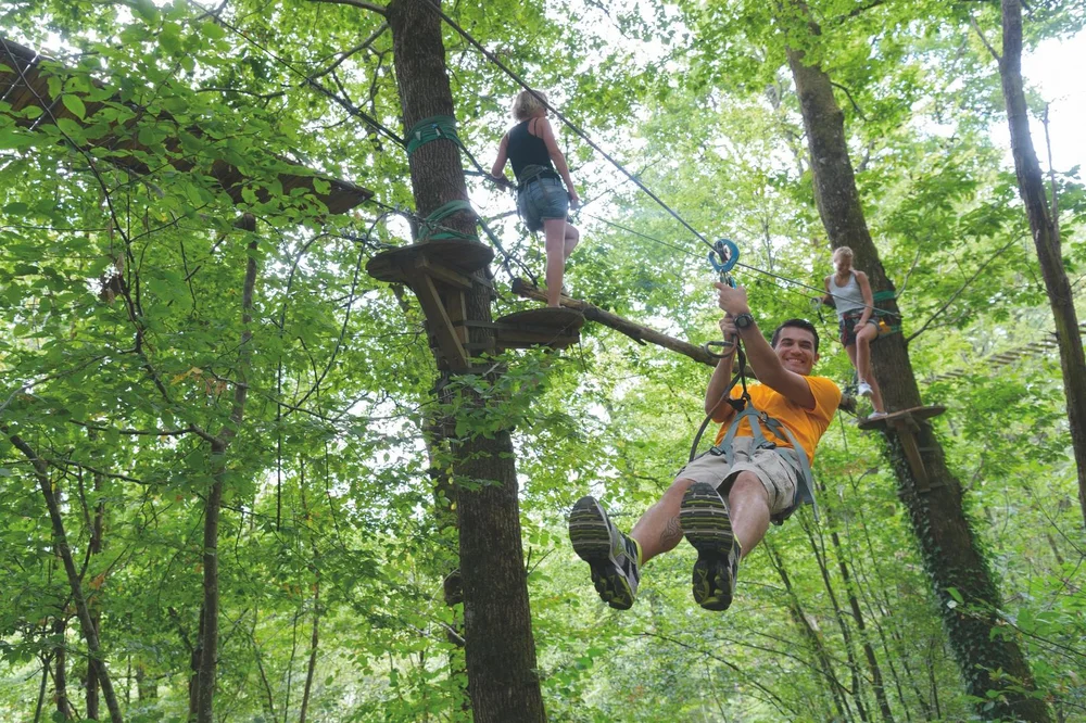 L'Appel de la Forêt - Parcours Aventure
