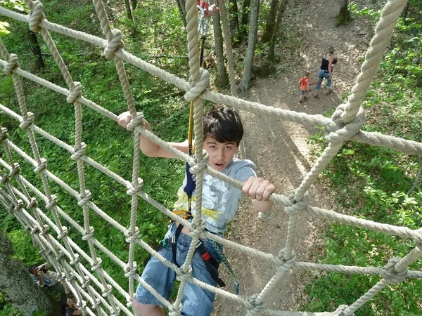L'Appel de la Forêt - Parcours Aventure