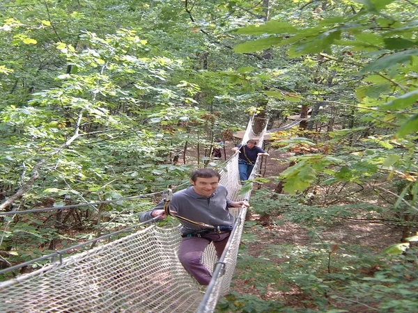 L'Appel de la Forêt - Parcours Aventure