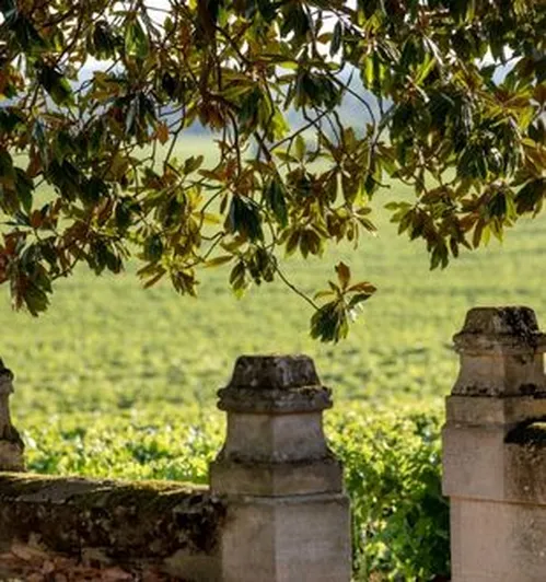 Château Daugay