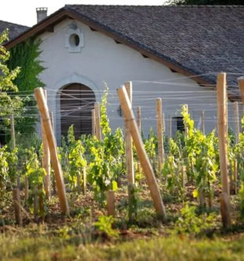 Château Daugay