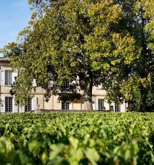 Château Daugay