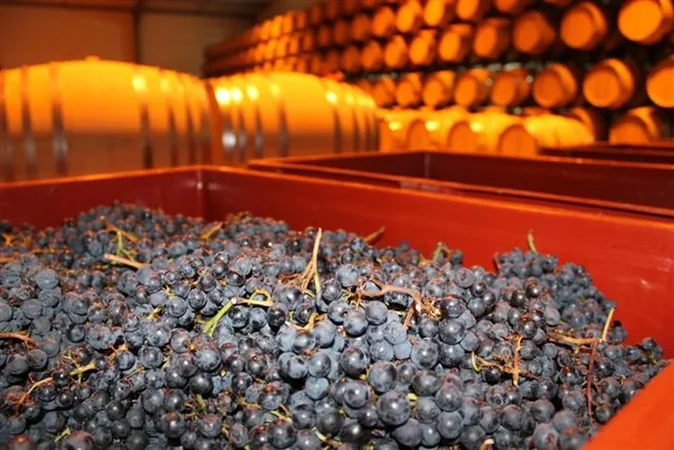 Les Vignerons de Tutiac