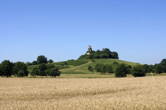 Château de Gurson
