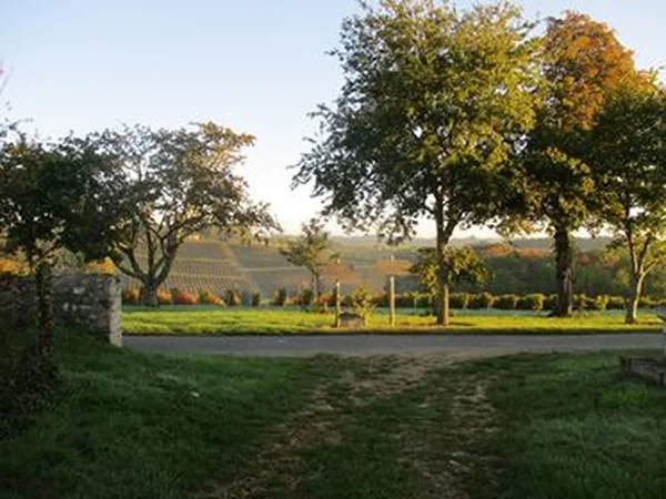 Château Peller Laroque
