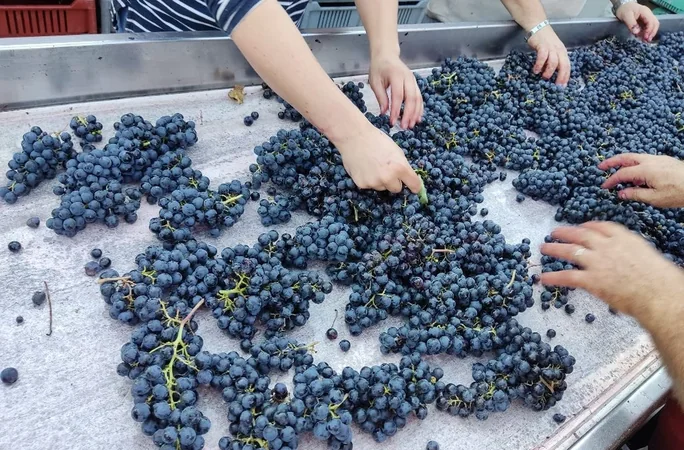 Domaine de Combet