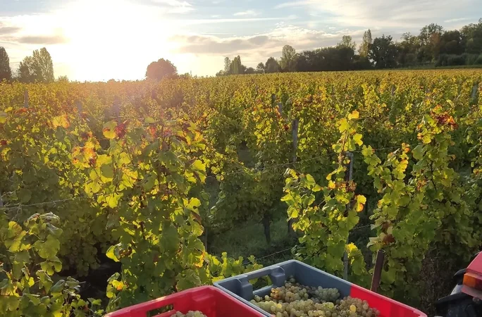 Domaine de Combet