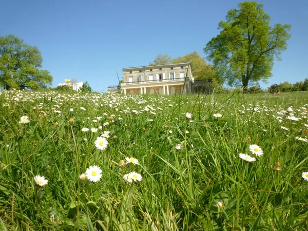 Parc Palmer