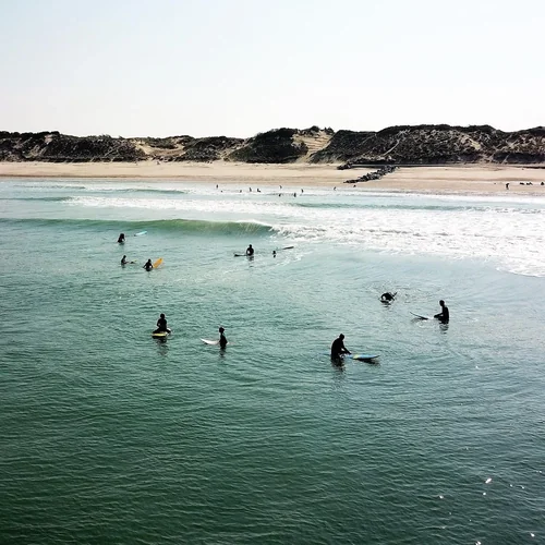 Fish and Twins Surf School