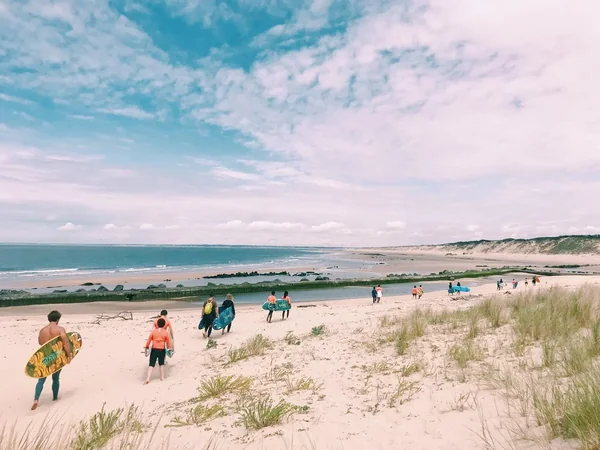 Fish and Twins Surf School
