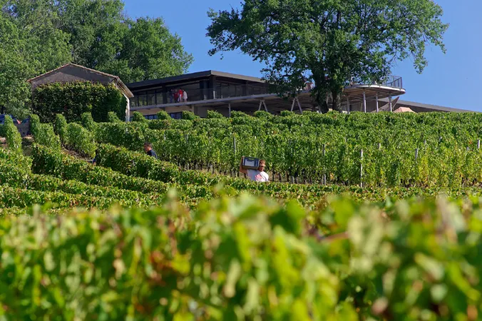 Château Réaut