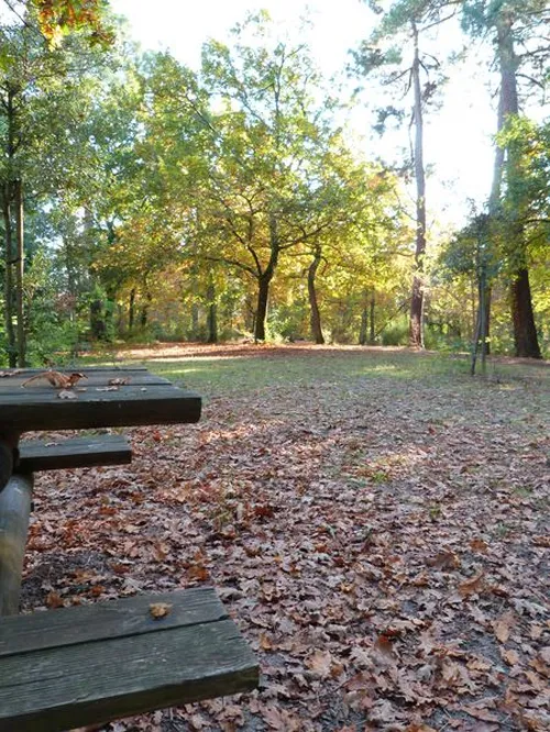Balade à roulettes : Le parc de la Cheneraie