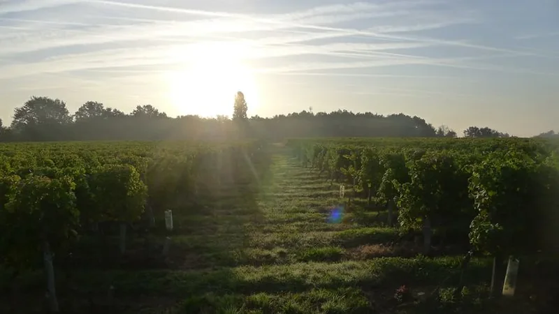 Château de Peyrel