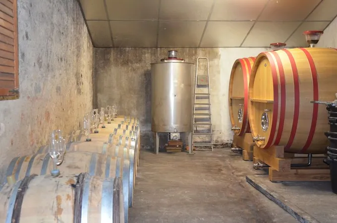 Château La Robertie