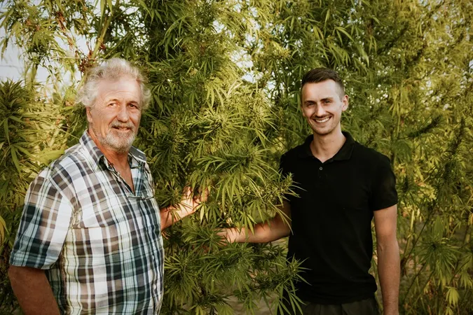 Le Chanvre de mon père