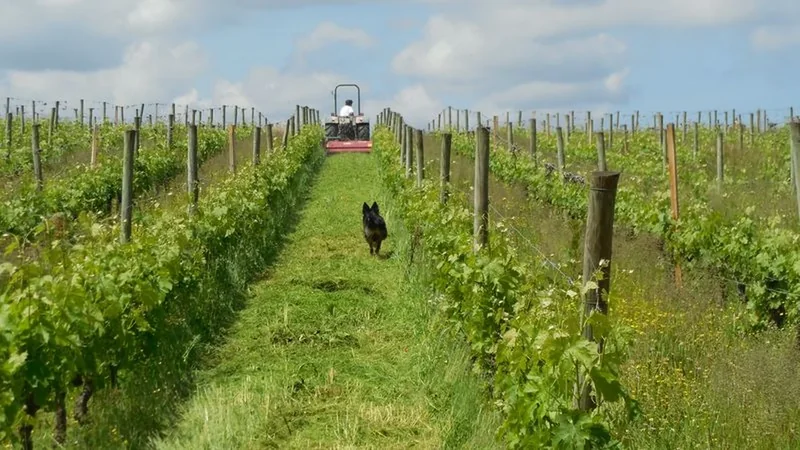 Domaine du Bout du Monde