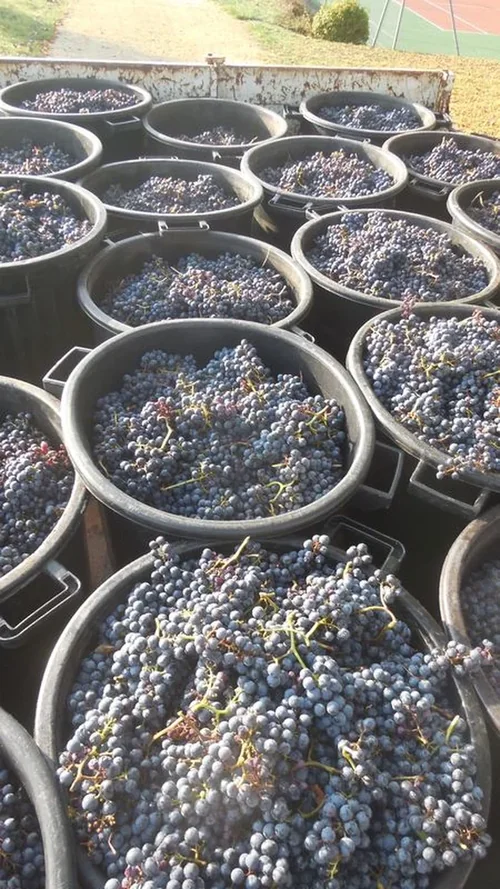 Domaine du Bout du Monde