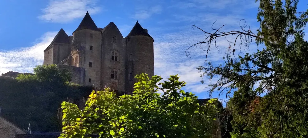 Château de Salignac