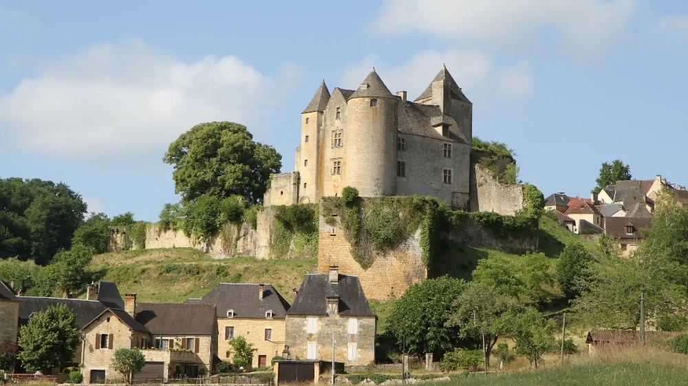 Château de Salignac