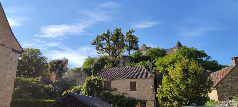 Château de Salignac