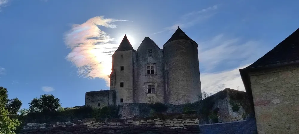 Château de Salignac