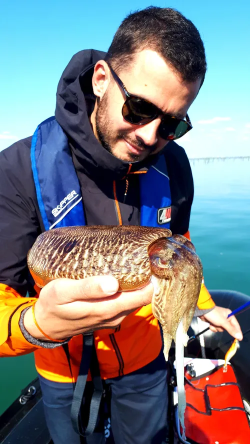 Aquitaine Pêches Sportives