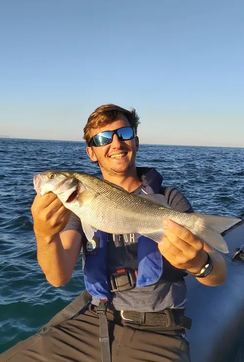 Aquitaine Pêches Sportives