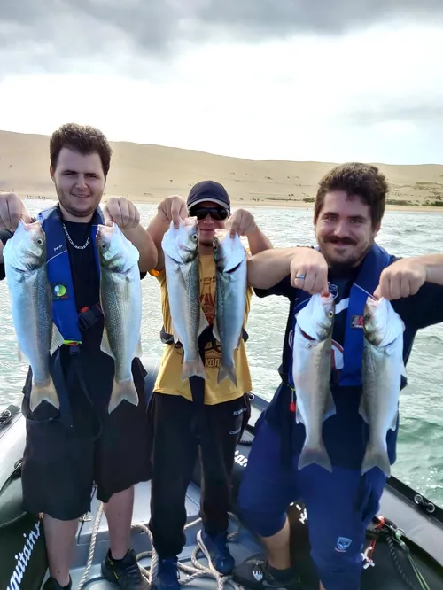 Aquitaine Pêches Sportives
