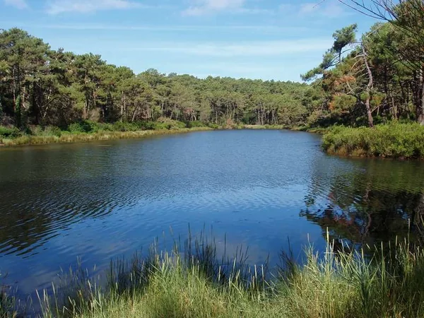 Réservoirs de Piraillan