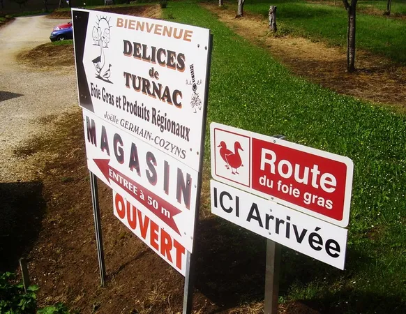 Délices de Turnac